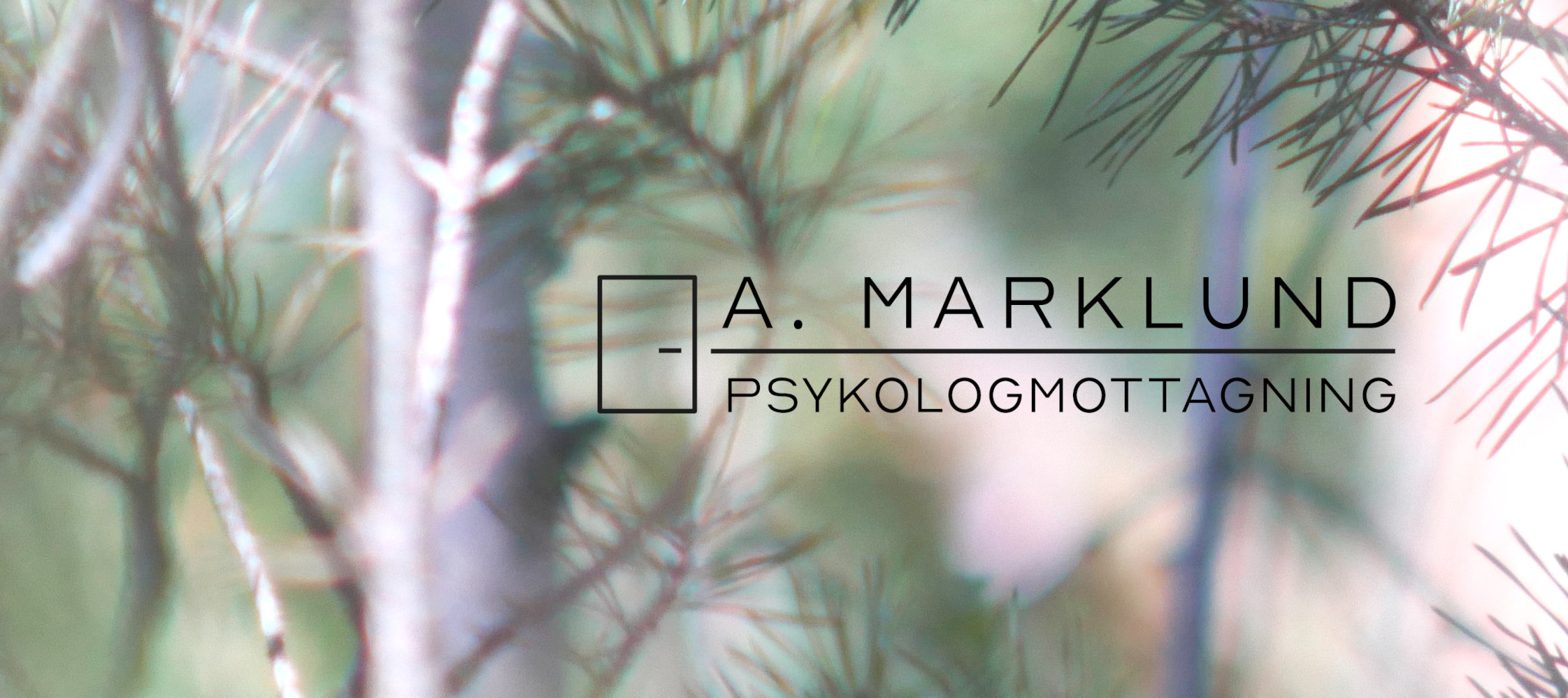 Närbild på tallbarr och logotype i nedre vänstra hörnet.
